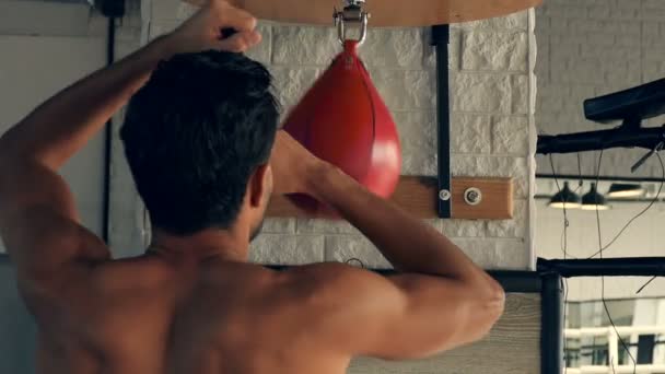 Sportovní Muž Hittin Malý Boxerský Úder Tělocvičně — Stock video