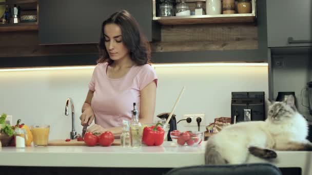 Young Woman Preparing Salad Funny Cat Lay Table — Stock Video