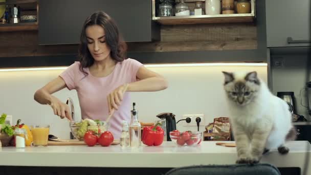 サラダを準備する若い女性 面白い猫がテーブルに歩いています — ストック動画