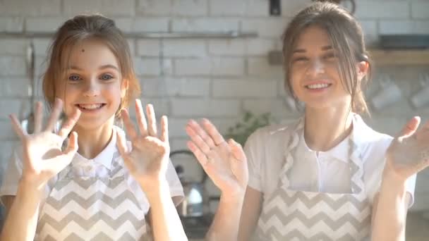 Retrato Dos Hermanas Saludando Las Manos Sonriendo Mirando Cámara Nube — Vídeo de stock