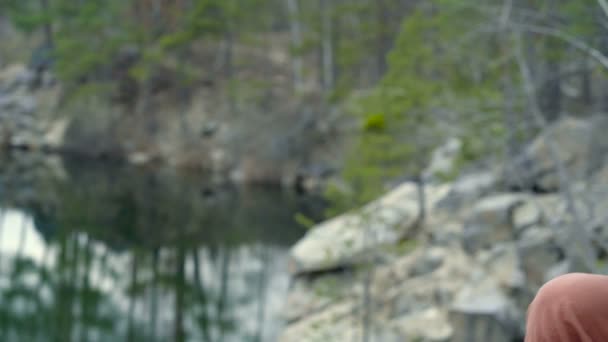 胡子的人坐在湖边的岩石上 在口琴上演奏 — 图库视频影像