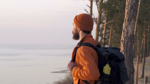 旅行胡须男子与背包在户外的肖像 环顾四周 享受你的一天 — 图库视频影像