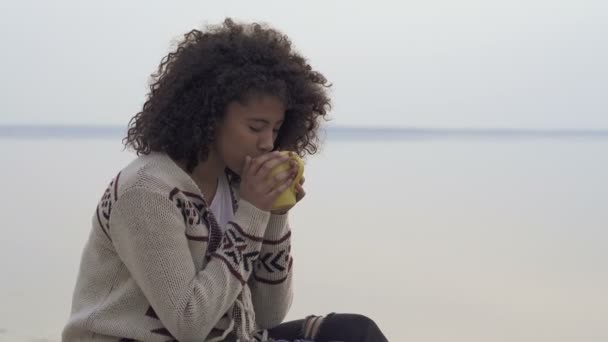 Mujer Afro Americana Alegre Sentada Cerca Del Mar Disfrutando Vida — Vídeo de stock