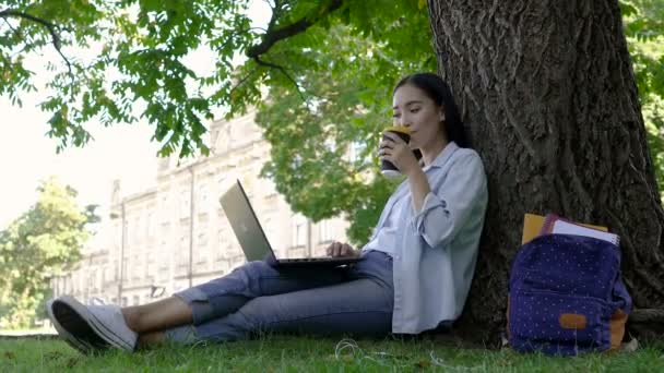 Menina Estudante Asiática Sentada Grama Perto Árvore Trabalhando Laptop Bebendo — Vídeo de Stock