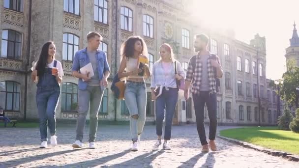 Grupo Cinco Amigos Estudantes Caminhando Conversando Rindo Fora Parque Perto — Vídeo de Stock