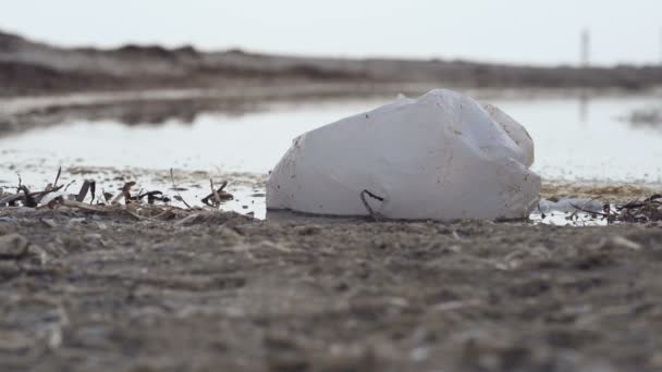 玻璃纸袋位于水坑附近 生态问题 — 图库视频影像