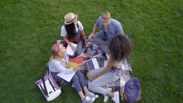 緑の草の上に座り 話し合い 笑顔を見せ 5人の手を差し出す友人 のグループ トップビュー スローモーション — ストック動画