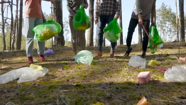 Freunde Sammeln Müll Wald Auf Mittelpunkt Stehen Der Boden Und — Stockvideo