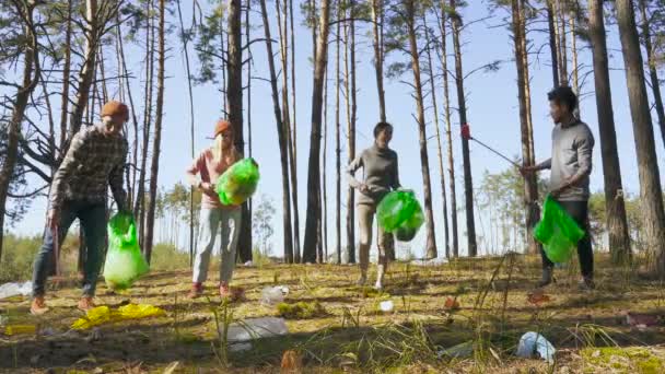 Grupo Amigos Multiétnicos Limpiando Bosque Basura Basura Plástica Ángulo Ancho — Vídeo de stock