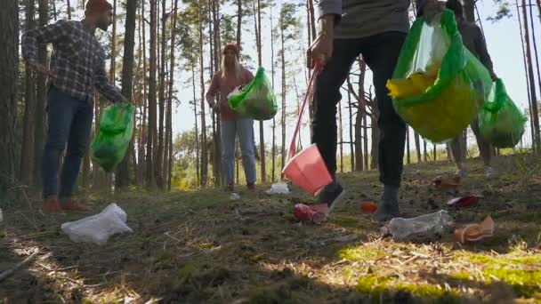 Freunde Die Sich Freiwillig Engagieren Und Wald Von Plastikmüll Säubern — Stockvideo