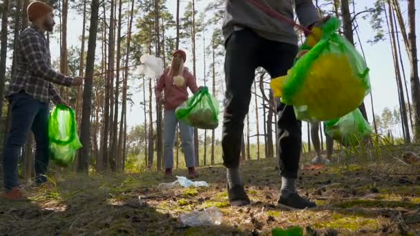 多种族的朋友从垃圾和垃圾中清理森林 低角度 — 图库视频影像