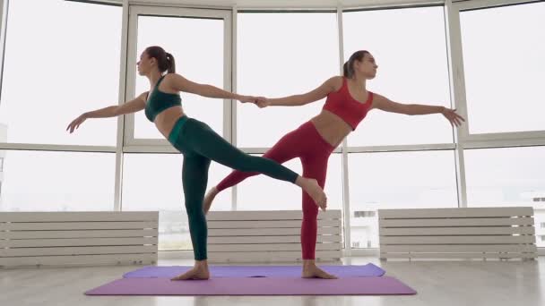 Yoga Dersinde Birlikte Egzersiz Yapan Iki Kız Arkadaş Yavaş Çekim — Stok video