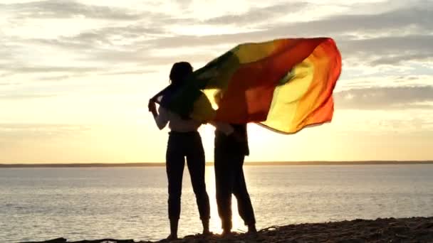Θηλυκό Ζευγάρι Σημαία Ουράνιο Τόξο Στέκεται Στην Ακτή Και Απολαμβάνοντας — Αρχείο Βίντεο