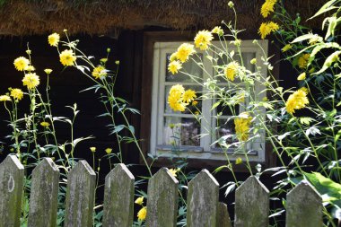 Evin önünde bir kırsal bahçe ve eski beyaz ahşap bir pencere.