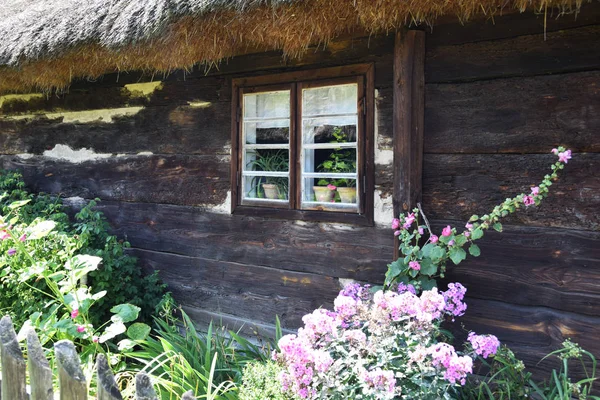 Een Landelijke Tuin Voor Het Huis Een Oud Wit Houten — Stockfoto