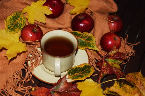 Autumn leaves, tea, red apples and an autumn scarf — Stock Photo, Image