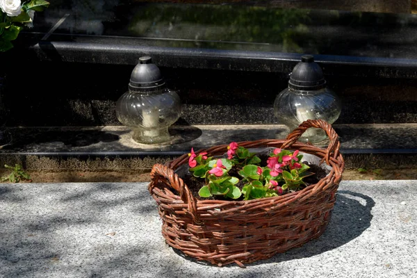 Korb Mit Begonienblüten Auf Einem Grab Auf Einem Friedhof — Stockfoto
