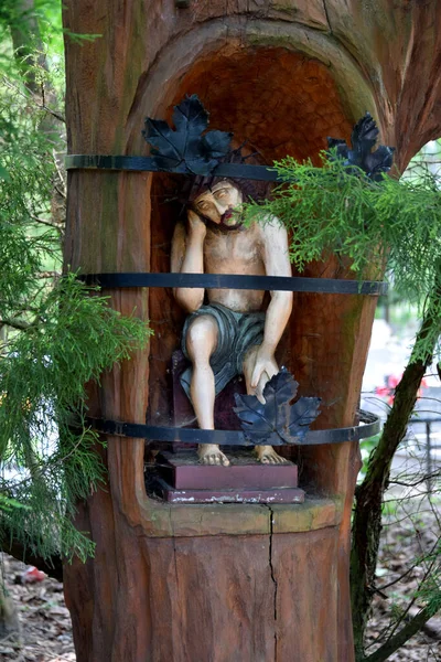 Rzeźba Jezusa Wewnątrz Drzewa Cmentarzu — Zdjęcie stockowe