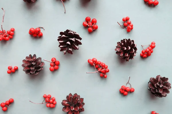 Christmas Pattern Pine Cones Rowanberries — Stock Photo, Image