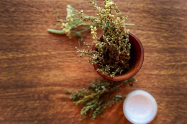 Krema kabı ve otlar ahşap masada. Doğal güzellik ürünü konsepti