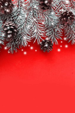 Kırmızı arkaplanlı kar ladin dalları. Düz konum, üst görünüm, kopyalama alanı. Dikey