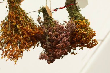 Beyaz arka planda asılı kuru otlar.