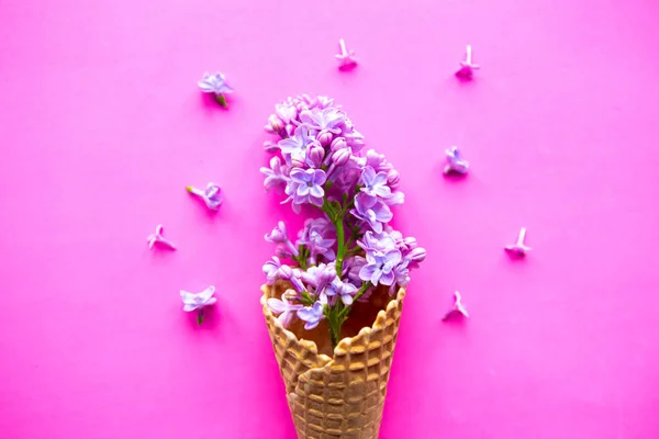 Красиві Бузкові Квіти Вафельному Конусі Мінімальна Концепція — стокове фото