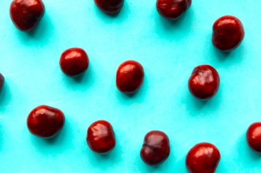 Kestane desenli. Kestanelerin mavi arka plandaki yaratıcı düzeni. Üst Manzara. Düz yatıyordu