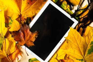 Sonbahar yeşillik arkaplan tableti, üst görünüm, kopyalama alanı. Parlak sonbahar arkaplanı