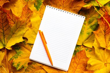 Sonbahar yaprakları arka planında beyaz model defter, üst görünüm