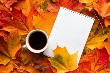 Sonbahar yeşillik arka planında beyaz defter ve kahve fincanı, üst görünüm