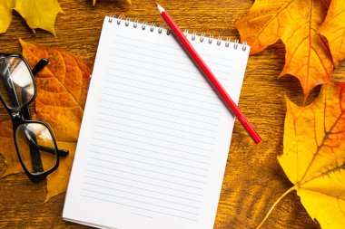 Sonbahar yeşillik arka planında beyaz defter ve kahve fincanı, üst görünüm