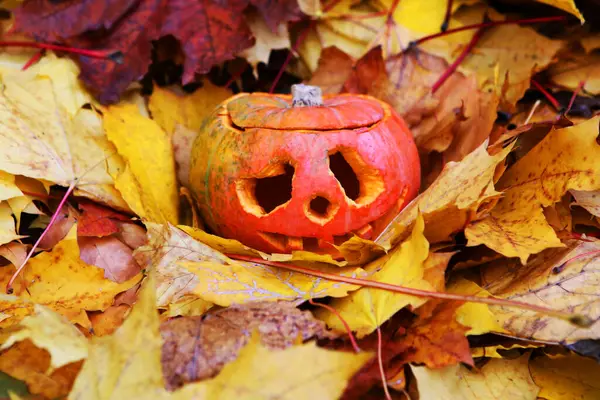 Jack Lucerna Zlatém Podzimním Listoví Halloween Koncept — Stock fotografie