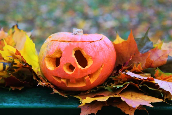 Jack-o-lantern on the bench. Autumn background. Halloween concept