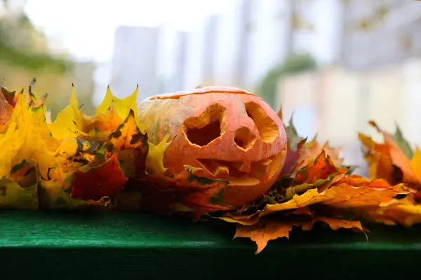 Bankta Jack Fener Sonbahar Arkaplanı Cadılar Bayramı Konsepti — Stok fotoğraf