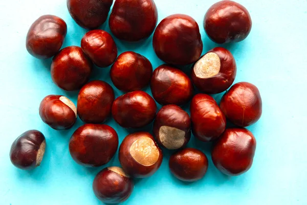 Castagne Fresche Sfondo Blu Vista Dall Alto Posa Piatta — Foto Stock