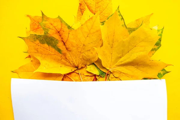 Helle Ahornblätter Und Leere Attrappen Auf Gelbem Hintergrund Herbstkonzept — Stockfoto