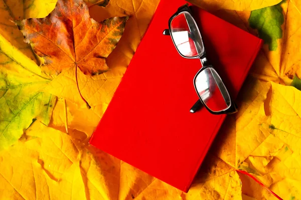 Old Red Book Autumn Foliage Background Top View Bright Fall — Stock Photo, Image