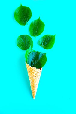 Açık mavi arka planda waffle külahında taze yeşil yapraklar. Asgari konsept.