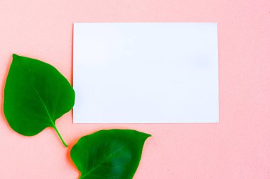 Parlak yeşil yapraklar ve pastel pembe arka planda beyaz model. Minimum konsept. Yaz zamanı konsepti.