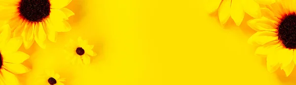 Прекрасні Свіжі Соняшники Яскраво Жовтому Тлі Плоский Простір Вид Зверху — стокове фото