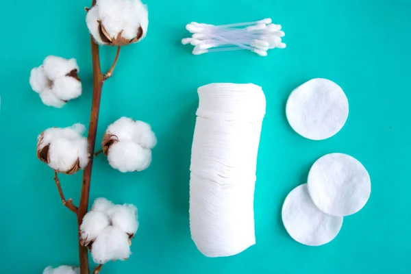 Cotton branch and cotton sponges on green mint background, top view