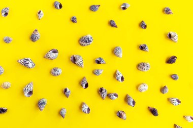 Parlak sarı arka planda deniz kabuğu deseni, yaz tatili konsepti