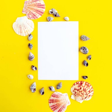 Beyaz model boş ve sarı arka planda deniz kabukları, üst manzara. Yaz tatili kavramı