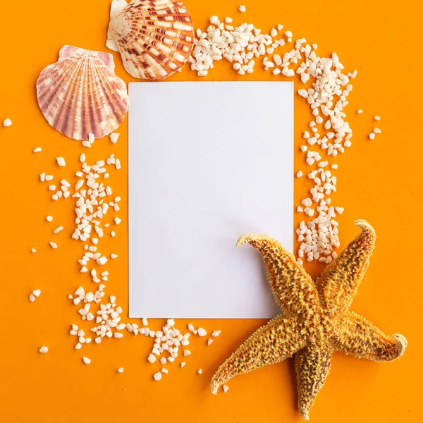 Branco Mockup Branco Com Conchas Estrelas Mar Fundo Laranja Brilhante — Fotografia de Stock
