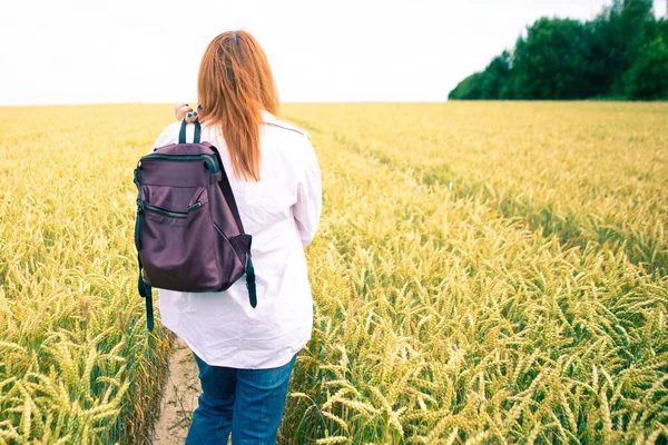 Kız Buğday Tarlasında Yürüyor Yaz Arkaplanı — Stok fotoğraf