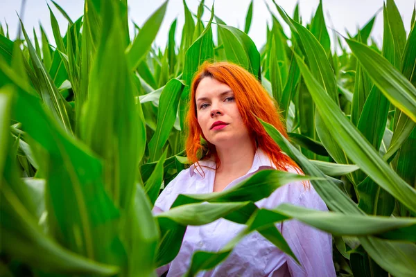 Chica Jengibre Una Camisa Blanca Campo Maíz Fondo Verano — Foto de Stock