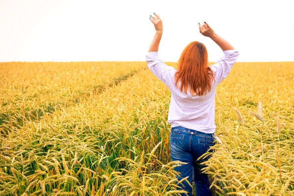 Las Mujeres Jengibre Campo Trigo Fondo Verano — Foto de Stock