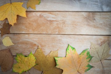 Ahşap arkaplanda kuru akçaağaç yaprakları, kopyalama alanı