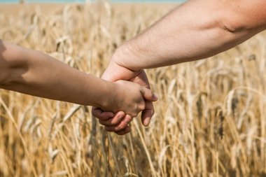 Güneşli yaz gününde buğday tarlasında el ele tutuşan genç çift.